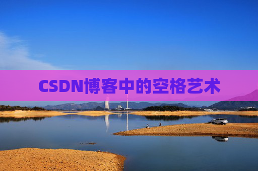 CSDN博客中的空格艺术